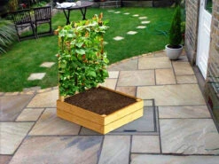 Raised Bed For Climbing Plants - 120cm X 120cm