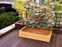 Raised Bed For Climbing Plants - 180cm X 120cm