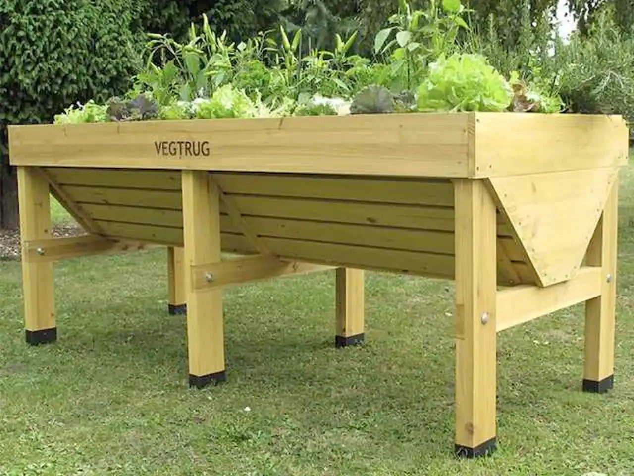 Vegtrug Home Farm Kit Special Offer - Image 3