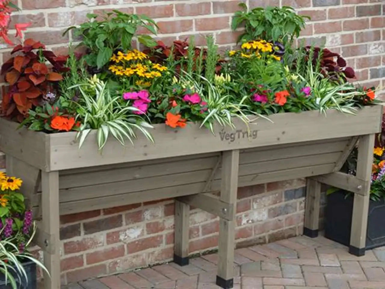 Vegtrug Home Farm Kit Special Offer - Image 4