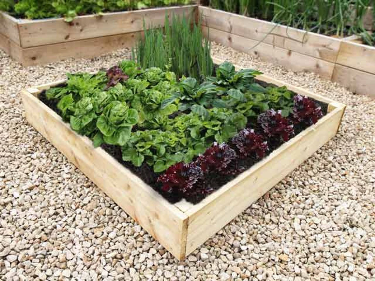 120cm Square Allotment Raised Bed Flatpack Kit - 17.5cm High - Image 2