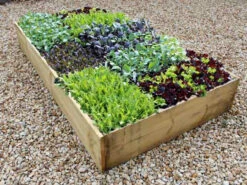 Timber Raised Bed Kit - 22.5cm High Allotment Planter