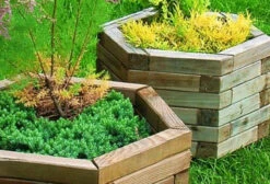 Royal Hexagonal Planter