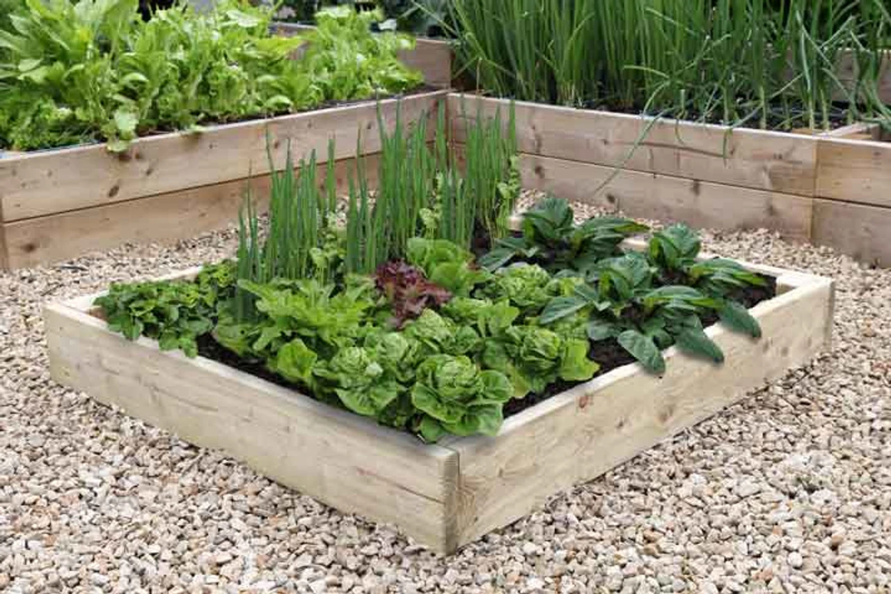 Premier 17.5cm FSC Timber Raised Garden Beds