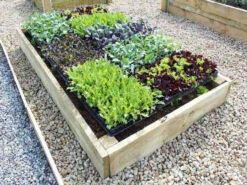 Premier 22.5cm FSC Timber Raised Garden Beds