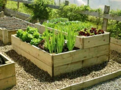 Premier Split Level Raised Vegetable Bed