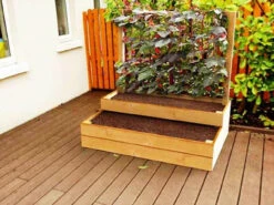 Raised Bed For Climbing Plants - Split Level