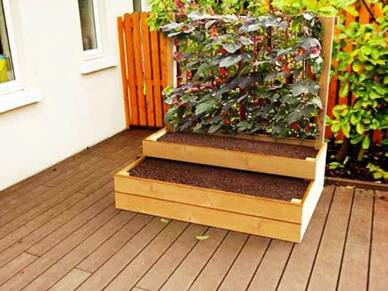 Raised Bed For Climbing Plants - Split Level
