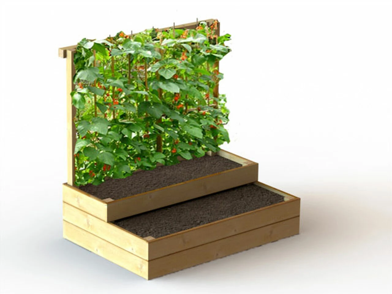 Raised Bed For Climbing Plants - Split Level - Image 2