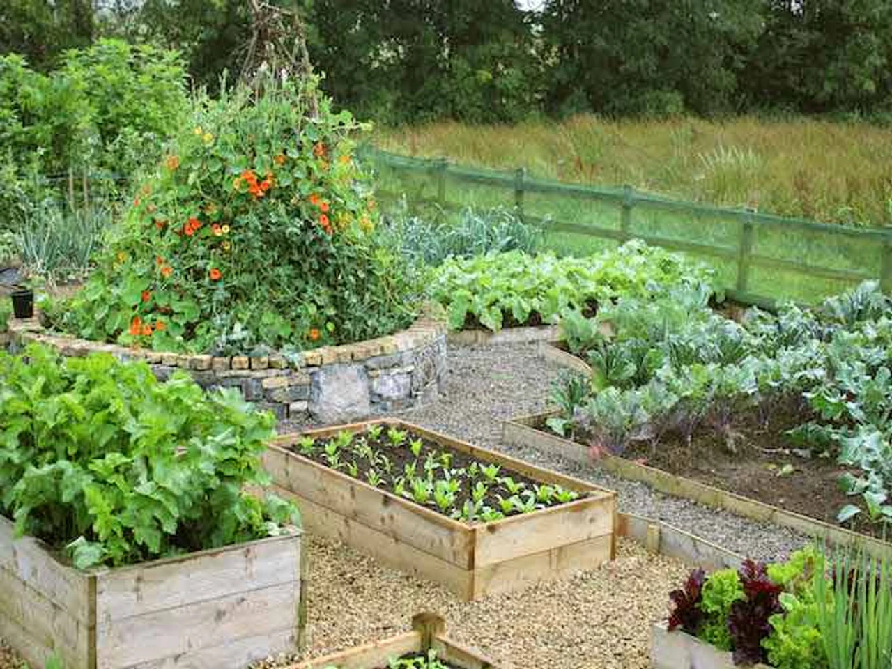 2 Tier Raised Vegetable Bed With Attached Garden Bench - Image 3