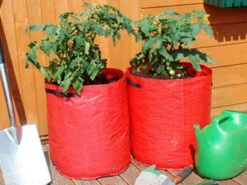 Tomato Planters - 2 Pack