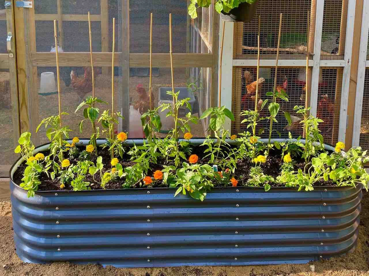 Vegtub Metal Raised Bed